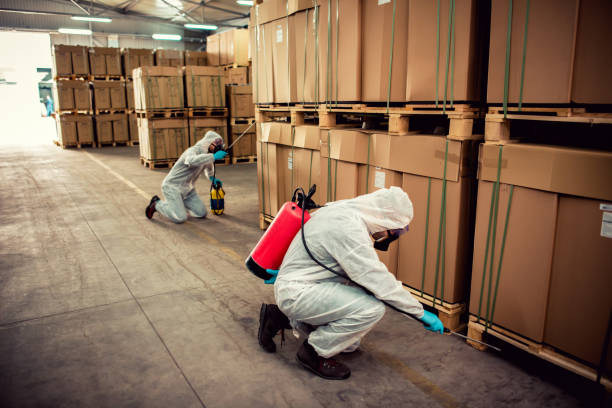 Best Exterminator Services  in Malmstrom Af, MT