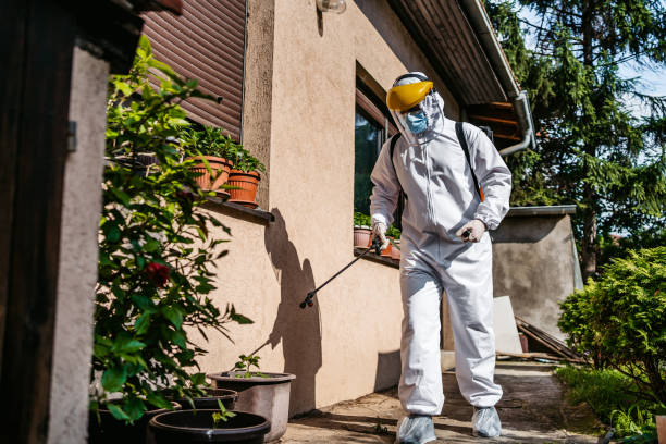 Best Flea Control Services  in Malmstrom Af, MT
